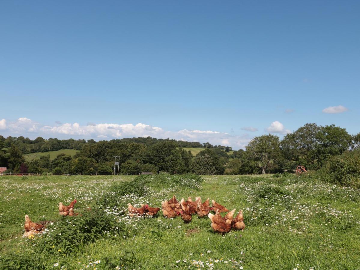 The Cider Shed Apartment Winscombe ภายนอก รูปภาพ